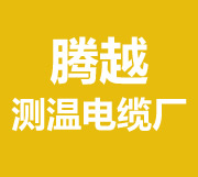 测温电缆-粮仓|粮情测控系统-河北腾越测温电缆厂[厂家直销]