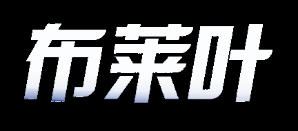 布莱叶软件 - 杭州华驰科技有限公司