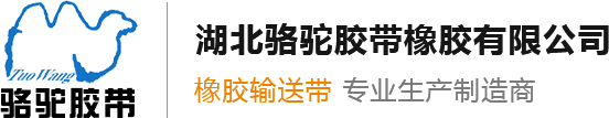 橡胶输送带_工业三角带_环形_耐高温_花纹_挡边输送带-湖北骆驼输送带厂家