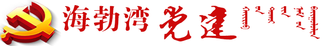 海勃湾区党建网