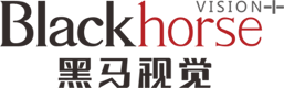 Included  _ Visit the website  _ Photoelectric oven  _ Leisure and entertainment 