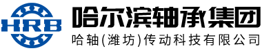 哈轴（潍坊）传动科技有限公司_深沟球轴承,调心球轴承,向心短圆柱滚子轴承