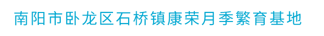 首页 - 南阳市卧龙区石桥镇康荣月季繁育基地