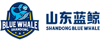 山东蓝鲸棒垒球俱乐部