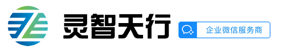 灵智天行 – 创新型软件和数字化转型服务商