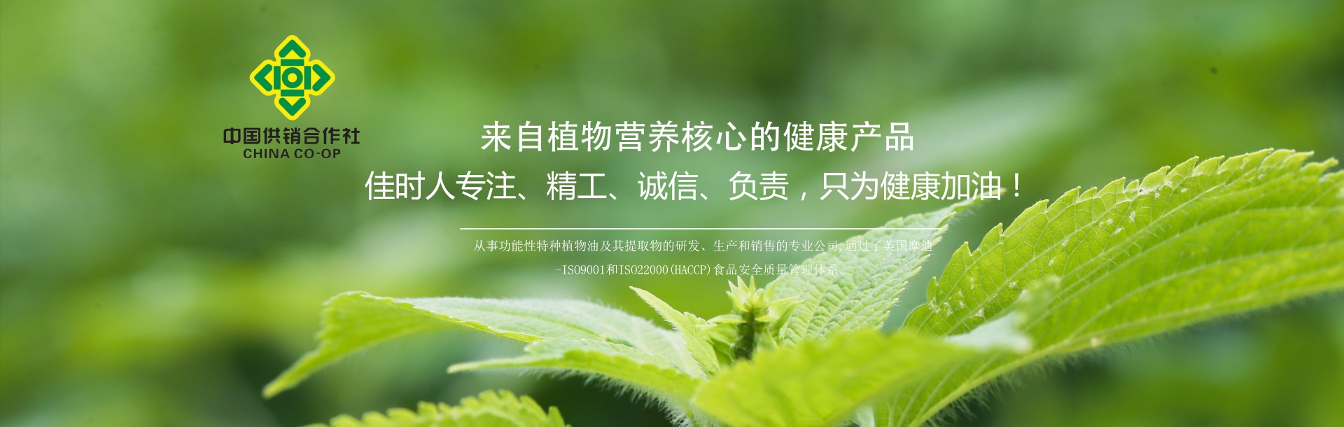 辽宁佳时保健植物油开发有限公司-佳时食用油、佳时保健油、食用油、紫苏籽油、辽宁食用油、亚麻籽油、葡萄籽油