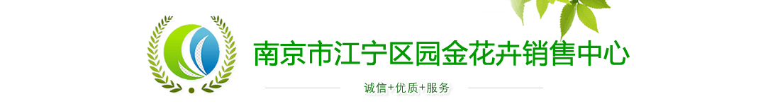 南京市江宁区园金花卉销售中心