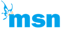 MSN  Website building system 