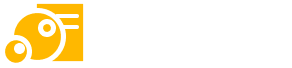 泡泡演讲稿-2025专业演讲稿范文