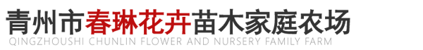 青州时令草花、宿根花卉及绿化苗木等花卉苗木供应_青州市春琳花卉苗木家庭农场