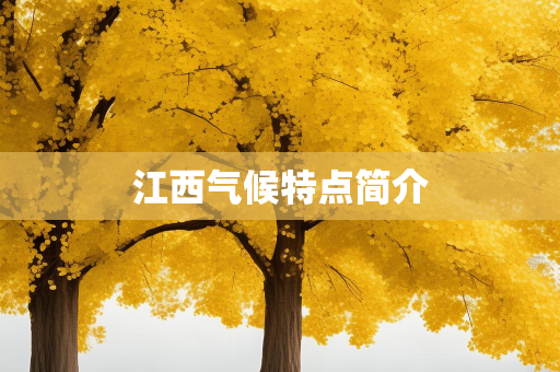 天气报告