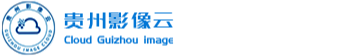 贵州省抗冠病毒肺炎远程会诊平台